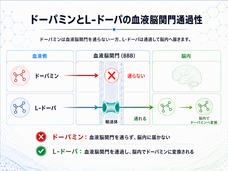 株式会社アルファメイルのプレスリリース画像3