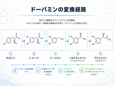 株式会社アルファメイルのプレスリリース画像2