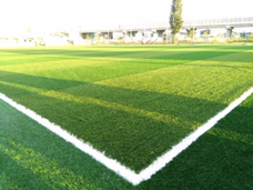 株式会社シナジウムのプレスリリース画像2