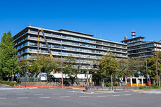 株式会社ブルーのプレスリリース画像2