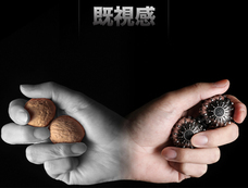 ALLBUTTONのプレスリリース画像1