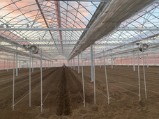 白石農園のプレスリリース画像1