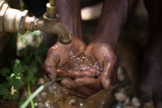 1PicassoFor100Eurosのプレスリリース画像1