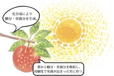 株式会社テラスビジョンのプレスリリース画像9