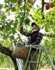 株式会社テラスビジョンのプレスリリース画像4