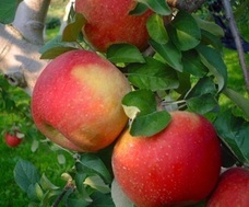 株式会社テラスビジョンのプレスリリース画像8