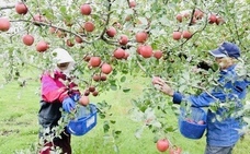 株式会社テラスビジョンのプレスリリース画像7