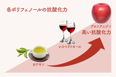 株式会社テラスビジョンのプレスリリース画像5