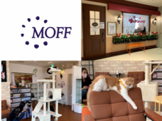 株式会社プランニングオフィスエスエムエスのプレスリリース画像2