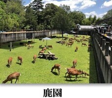 株式会社プランニングオフィスエスエムエスのプレスリリース画像2