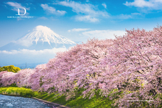 株式会社ドローンエンタテインメントのプレスリリース画像2