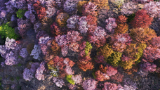 株式会社ドローンエンタテインメントのプレスリリース画像3