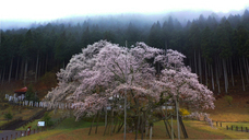 株式会社ドローンエンタテインメントのプレスリリース画像5