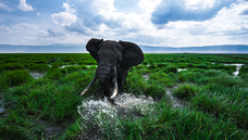 株式会社ドローンエンタテインメントのプレスリリース画像7