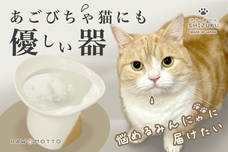 PAW-MOTTOのプレスリリース画像1