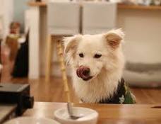 株式会社TaBelleのプレスリリース画像2