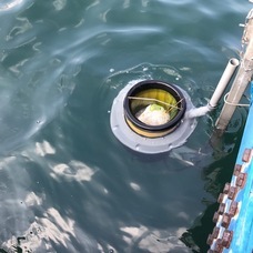 株式会社SUSTAINABLE JAPANのプレスリリース画像1