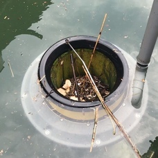 株式会社SUSTAINABLE JAPANのプレスリリース画像1