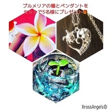 株式会社クロスエンジェルズのプレスリリース画像2