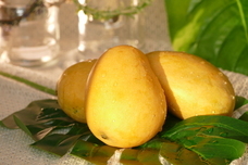 AAM・HOLICのプレスリリース画像1