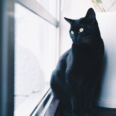 renriのプレスリリース画像2