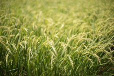 株式会社酒持田本店のプレスリリース画像4