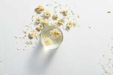 蒼樹株式会社のプレスリリース画像4