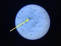 株式会社BAEKのプレスリリース画像4