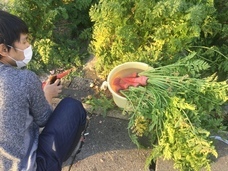 グリルにんじん株式会社のプレスリリース画像9