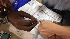 株式会社マイクロブラッドサイエンスのプレスリリース画像1