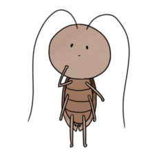 ラッコ株式会社のプレスリリース画像1