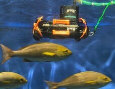 株式会社フルタイムシステムのプレスリリース画像3