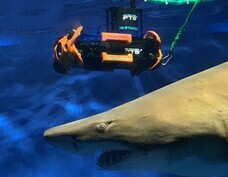 株式会社フルタイムシステムのプレスリリース画像2