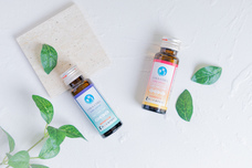 株式会社ウェイバックのプレスリリース画像2