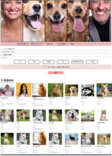 startBASEのプレスリリース画像2