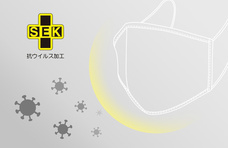 イーズイン株式会社のプレスリリース画像2