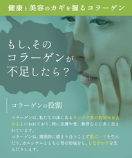 有限会社島喜商事のプレスリリース画像3