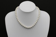 株式会社笠盛のプレスリリース画像1