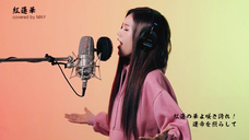 株式会社メジャーナインジャパンのプレスリリース画像3