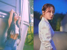 株式会社メジャーナインジャパンのプレスリリース画像1