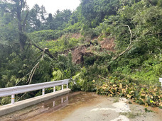 株式会社カルティブのプレスリリース画像1