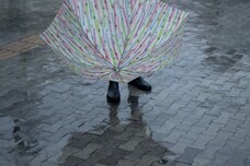 株式会社ワールドパーティーのプレスリリース画像2