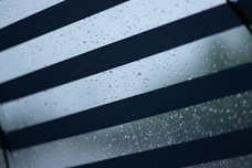 株式会社ワールドパーティーのプレスリリース画像1