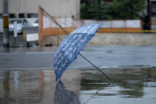 株式会社ワールドパーティーのプレスリリース画像3