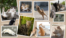 株式会社ワールドパーティーのプレスリリース画像6