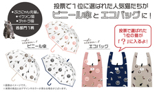 株式会社ワールドパーティーのプレスリリース画像5