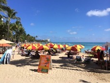 JAPAHA INTERNATIONAL Inc.のプレスリリース画像5