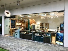 JAPAHA INTERNATIONAL Inc.のプレスリリース画像1