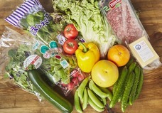 ベジクル株式会社のプレスリリース画像2