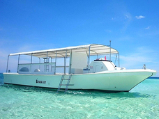 株式会社Deepactのプレスリリース画像1